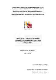 TFG Noguera Artiaga, Luis.pdf.jpg