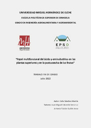 TFG Sánchez Martín, Celia.pdf.jpg