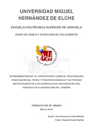 TFG Lorente Mento, Jose Manuel.pdf.jpg