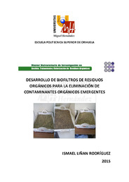 TFM Liñán Rodríguez, Ismael.pdf.jpg