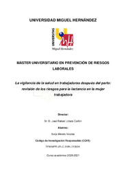 Merelo Nicolás_Borja_TFM.pdf.jpg