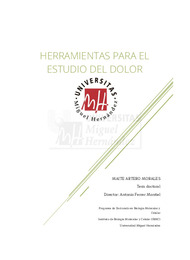 Tesis Doctoral Artero Morales, Maite.pdf.jpg