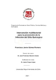 T. Gomez Romero, Francisco Javier.pdf.jpg