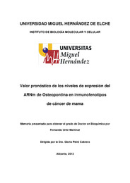 Tesis Doctoral - Fernando Ortiz Martinez -  Enero 2013.pdf.jpg