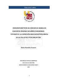 TD Planelles Asensio, María.pdf.jpg