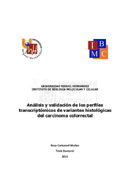 TD Carbonell Muñoz, Rosa.pdf.jpg