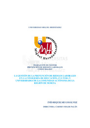 TFM Riquelme Gosálvez, Inés.pdf.jpg