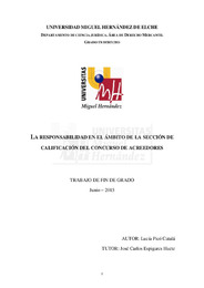 Picó Catalá,  Lucía.pdf.jpg