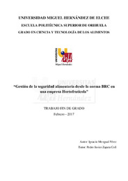 TFG Mengual Pérez, Ignacio.pdf.jpg