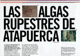 Algas rupestres de Atapuerca.pdf.jpg