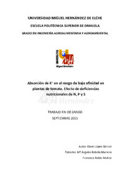TFG López Gómez, Ginés.pdf.jpg