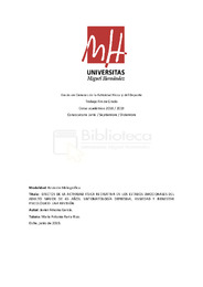 TFG-Amores García, Javier.pdf.jpg