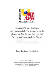 Sariñena_Fernandez_Lara_TFM.pdf.jpg