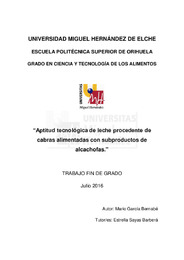 TFG García Bernabé, Mario.pdf.jpg