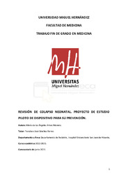 ARNAU MORENO, MARÍA DE LOS ÁNGELES, TFG.pdf.jpg