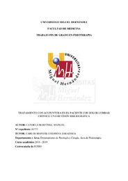TFG MANUEL CANDELA 18-19.pdf.jpg