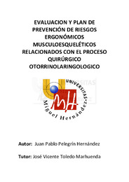 PELEGRIN HERNANDEZ, JUAN PABLO TFM.pdf.jpg