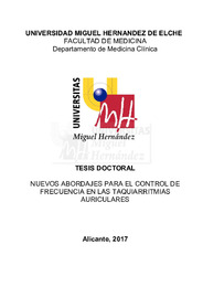 TD Ibañez Criado, José Luis.pdf.jpg