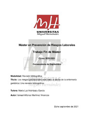 MARTINEZ_VIVANCOS_ISMAEL_TFM.pdf.jpg