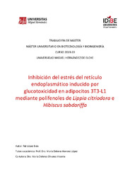 Memoria TFM_ Rut_López_firmada MOV y MHL - RUT LOPEZ BOIX.pdf.jpg