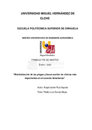 TFM Ruiz Aguilar, Ángel Javier.pdf.jpg
