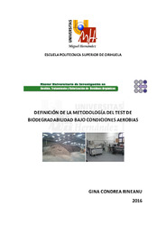 TFM Condrea Rineanu, Gina.pdf.jpg