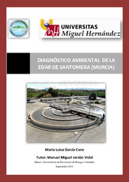 TFM García Cano Maria Luisa.pdf.jpg