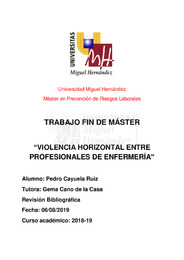 CAYUELA RUIZ, PEDRO TFM.pdf.jpg