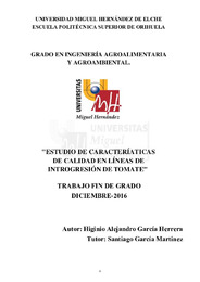 TFG García Herrera, Higinio Alejandro.pdf.jpg