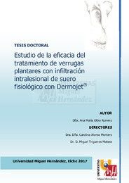 TD Oltra Romero, Ana María.pdf.jpg