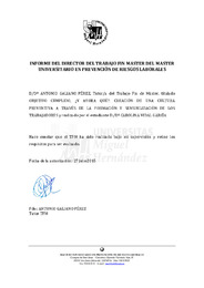 TFM Vidal García, Carolina.pdf.jpg