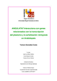 González Costa, Tamara.pdf.jpg