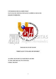 TFG-MOLINA RUBIO, F.JAVIER 20521821W-1-41.pdf.jpg
