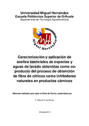 Tesis Doctoral Manuel Viuda.pdf.jpg