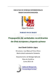 Celdrán López, José David.pdf.jpg