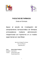 Ibañez Rodríguez, Mónica.pdf.jpg