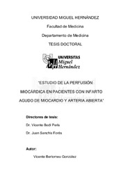 Tesis Vicente Bertomeu.pdf.jpg
