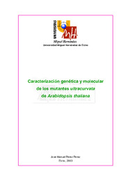 Tesis Pérez Pérez, Jose Manuel.pdf.jpg