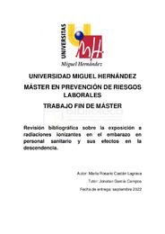 CASTAN_LAGRAVA_MARIAROSARIO_TFM.pdf.jpg