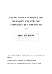 TFG Pinilla Riquelme, Melisa.pdf.jpg