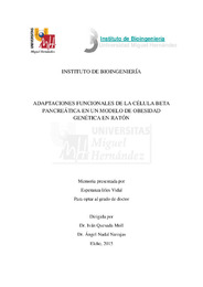 TD Esperanza Irles Vidal.pdf.jpg