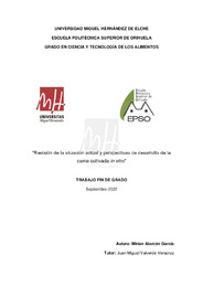 TFG ALARCÓN GARCÍA, MIRIAN.pdf.jpg