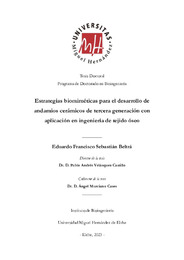 TESIS Sebastián Beltrá _Eduardo_.pdf.jpg