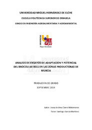 TFG Civera Matamoros, Josep-Andreu.pdf.jpg