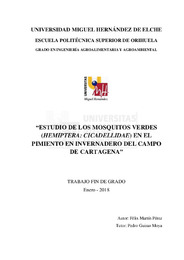 TFG Martín Pérez, Félix.pdf.jpg
