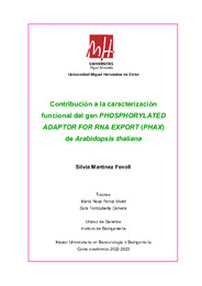 Martínez Fenoll Silvia - Silvia Martinez Fenoll.pdf.jpg