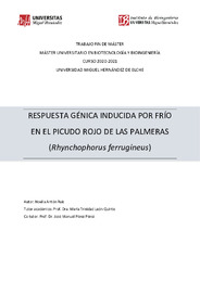 211 ANTÓN RUIZ, NOELIA-Memoria TFM.pdf.jpg