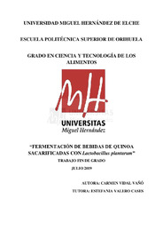 TFG Vidal Vañó, Carmen.pdf.jpg