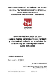 TFM Martín Lobo, Jairo.pdf.jpg