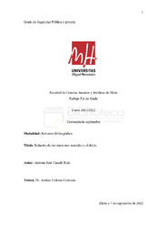 TFG-Casado Ruiz, Antonio José.pdf.jpg